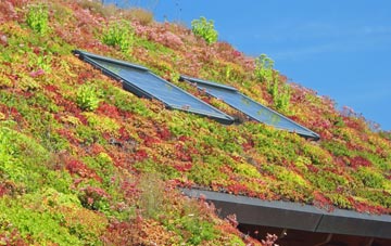 Bolton Houses living roof systems